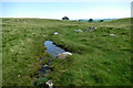 NY6012 : Blea Beck by Andy Waddington