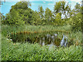 SD4213 : Small Pool near the Janet Kear Hide, Martin Mere Wetlands Centre by David Dixon