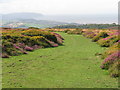 ST1240 : Path on the Quantock Hills, near Bicknoller by Malc McDonald