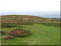 ST1241 : Path on the Quantock Hills near Bicknoller by Malc McDonald