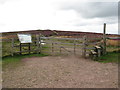 ST1438 : Hurley Beacon, near Crowcombe by Malc McDonald