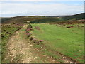 ST1438 : Bridle path near Crowcombe by Malc McDonald