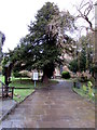 SJ3165 : Path through St Deiniol's churchyard, Hawarden by Jaggery