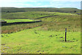 SD7993 : Bridleway heading towards the Moorcock Inn by Chris Heaton