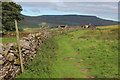 SD8094 : Lady Anne's Highway approaching High Dyke by Chris Heaton