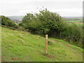 ST4154 : Bridle path at Cross, near Axbridge by Malc McDonald