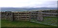 NY9141 : Windy Hill trig point by Colin Kinnear