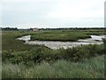 TF7244 : Saltmarsh at Thornham harbour by Christine Johnstone