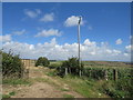 SY6587 : Wooden pylon near Dorchester by Malc McDonald