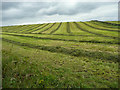 SE2603 : Strips in a mown hay field, Penistone by Humphrey Bolton