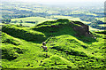 NY8411 : Sheep on disturbed ground by Trevor Littlewood