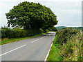 SE2802 : Overhanging trees, Coates Lane (B6449), Thorgoland by Humphrey Bolton