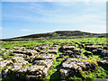 NY8810 : Limestone pavement at Plat by Trevor Littlewood