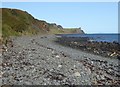 NG4770 : Beach at Dunans by Russel Wills