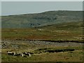 NY8000 : View south-east from Gregory Chapel by Stephen Craven