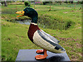 SD4314 : Lego Sculpture Trail at Martin Mere - Mac the Mallard by David Dixon