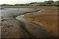 SX8972 : Stream near Netherton Point by Derek Harper