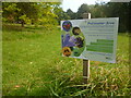 ST3087 : Information Board, Pollinator Area, Belle Vue Park by Robin Drayton