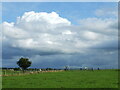 ST4328 : Clouds over Pitney Hill by Neil Owen