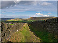 SD9422 : Pennine Bridleway near Blarney Castle by David Dixon