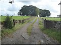 NY5434 : Driveway to Chambers Common Farm by Oliver Dixon