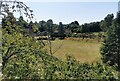 TQ5853 : Lawn in Grounds of Ightham Mote by PAUL FARMER