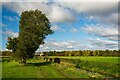 SK9471 : Main Drain, Swanpool, Lincoln by Oliver Mills