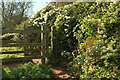 SX9355 : Gate on coast path by Derek Harper