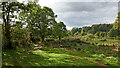 SO8175 : Track on the Rifle Range Nature Reserve, Worcestershire by Roger  D Kidd