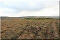 NY7745 : Remains of Boundary Shaft on Whimsey Hill by Andrew Curtis