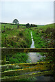 NZ4632 : Tributary to Dalton Beck by Andy Waddington