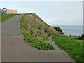 SZ5677 : Paths on The Cascade, Ventnor by Malc McDonald