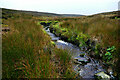 NZ0503 : Skegdale Beck by Andy Waddington