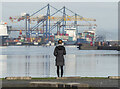 J3576 : Belfast Harbour by Rossographer