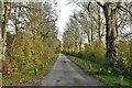 TM0364 : Bacton Green:  Private road (also restricted byway) leading to Newbells Farm by Michael Garlick