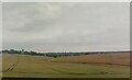 TL9864 : Elmswell: view south to the church from the railway by Christopher Hilton