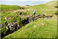 SD8092 : Fording Tarn Gill by Andy Waddington