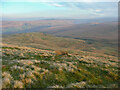 SE0310 : View from the summit of Pule Hill, Marsden by Humphrey Bolton