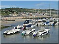 SY3391 : Lyme Regis - Harbour by Colin Smith