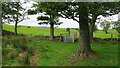 SJ9369 : Kissing gate on Gritstone Trail at Fox Bank near Sutton Lane Ends by Colin Park