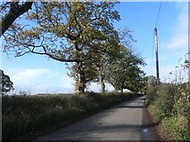  : The road from Stone Heath, heading north-west by Christine Johnstone