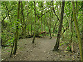 SE1224 : Footpath through woods near Pinnell Bridge by Stephen Craven