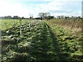 SK3621 : New planting along the public footpath to Staunton Lane by Christine Johnstone