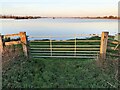 TL5392 : Gate No 1 to the washes near Suspension Bridge - The Ouse Washes by Richard Humphrey