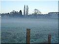 SO8791 : Himley Mist by Gordon Griffiths