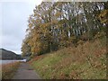 SK1987 : Autumn colours along the bridleway by Christine Johnstone