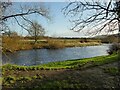 SE1845 : River Wharfe between Burley-in-Wharfedale and Otley by Stephen Craven