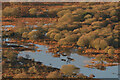 NH7698 : Wetland in Strath Fleet, Sutherland by Andrew Tryon