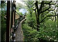 SH6440 : On the Ffestiniog Railway by Jeff Buck