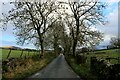 SD9953 : Brackenley Lane heading towards Embsay by Chris Heaton